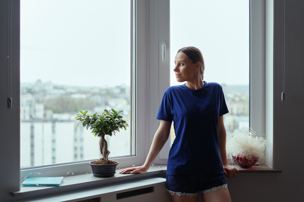 Carson City Vinyl Windows